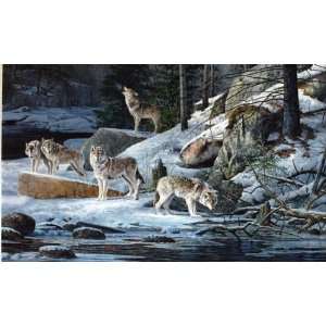  Scott Zoellick   Cry Wolf Giclee on Canvas