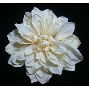    Beautiful Ivory Dahlia Flower Hair Clip and Pin Back Brooch Beauty