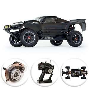   Gas / Petrol Powered RC Remote Control Desert Truck Toys & Games