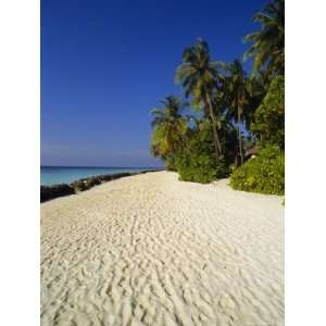  Beach, Nakatchafushi, Maldive Islands, Indian Ocean 