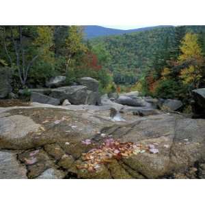 Fall Foliage, Appalachian Trail, White Mountains, New Hampshire, USA 