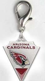 NFL Football Pewter DOG Collar CHARM Philly EAGLES  
