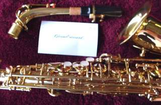 New saxophone alto sax w/Selmer USA mouthpiece & Selmer saxophone care 
