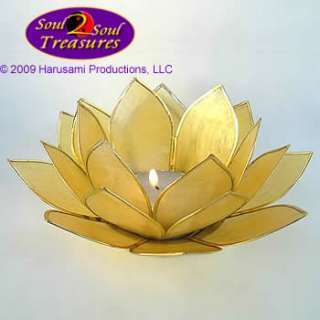The lotus is a universal symbol of peacefulness, serenity, purity and 