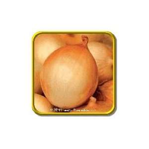   Early Grano   Jumbo Onion Seed Packet (500) Patio, Lawn & Garden