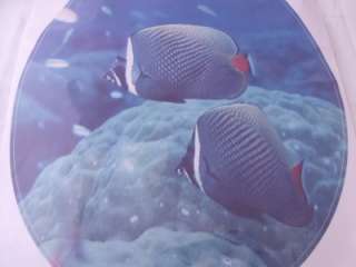 Decorative Toilet Seat Sticker Tropical Fish Design NEW  