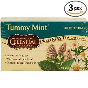 Celestial Seasonings Wellness Tea, Tummy Mint, 20 Count  