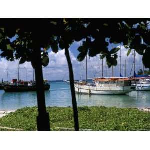  Jetty, West Coast, Island of La Digue, Seychelles, Indian 