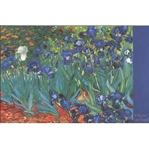  Irises in the Garden, Saint Remy, c.1889   Poster by 